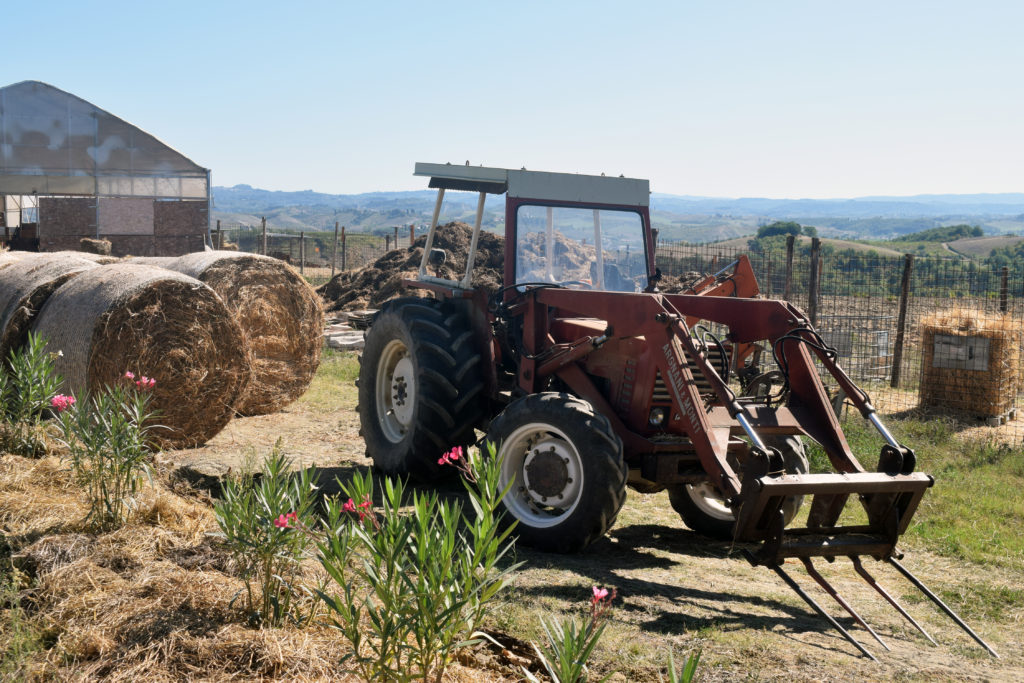 Caseifici Agricoli Open Day in Fattoria con degustazione formaggi