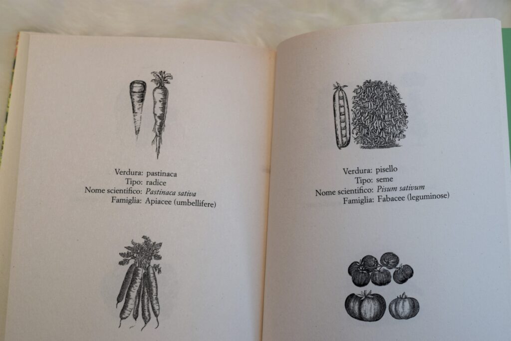 Recensione libro la favolosa storia delle verdure